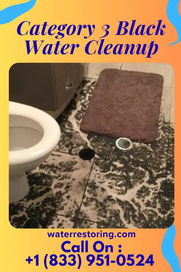 Category 3 Black Water Cleanup in Rock Creek Park, CO